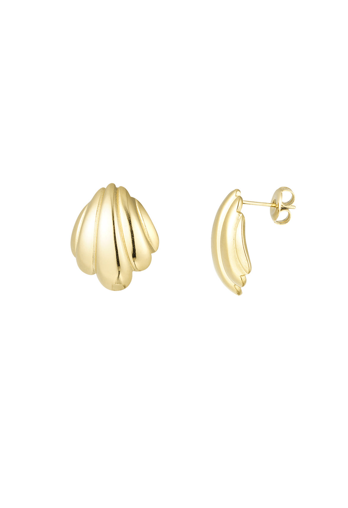Oorbellen met platte schelp goud