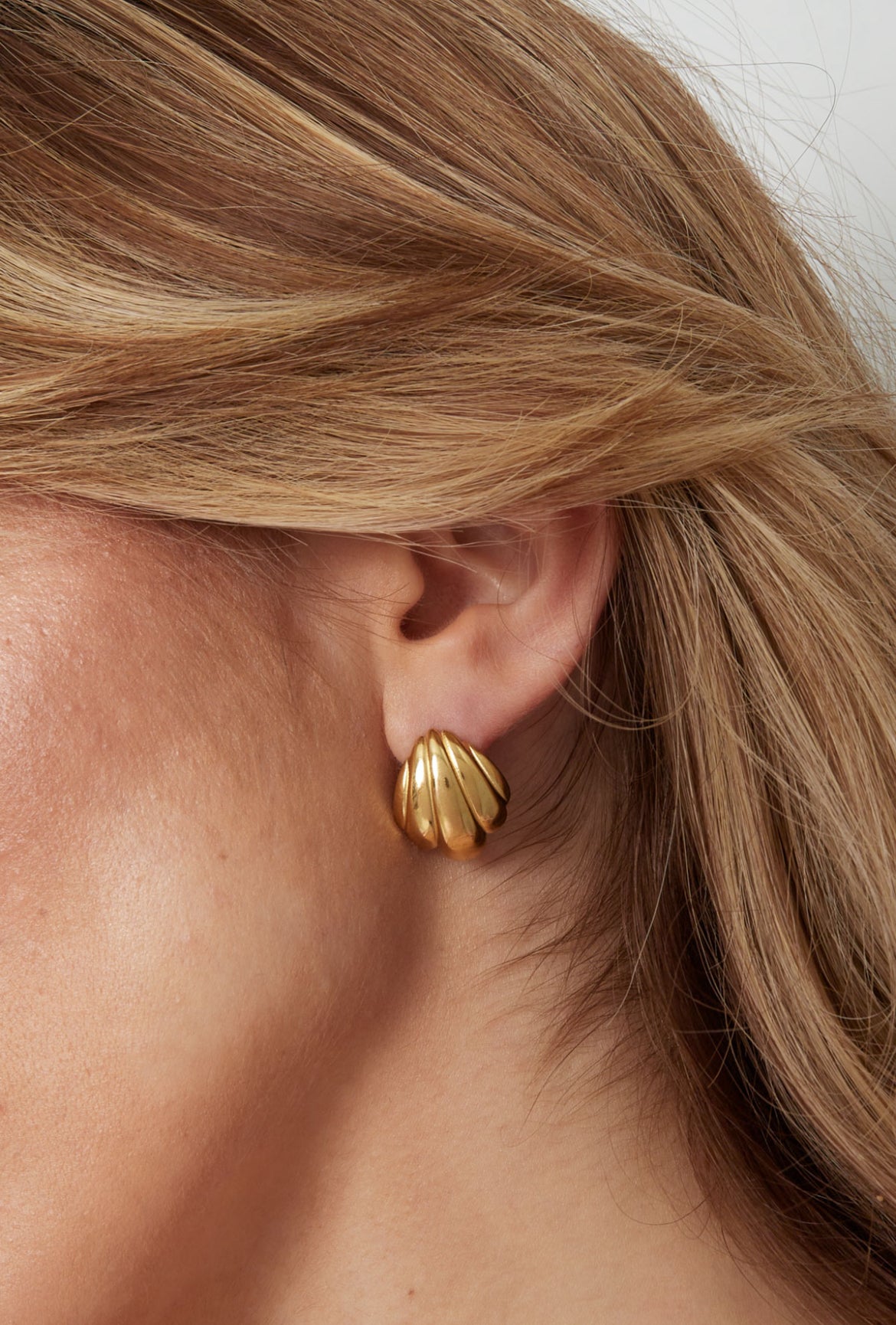 Oorbellen met platte schelp goud