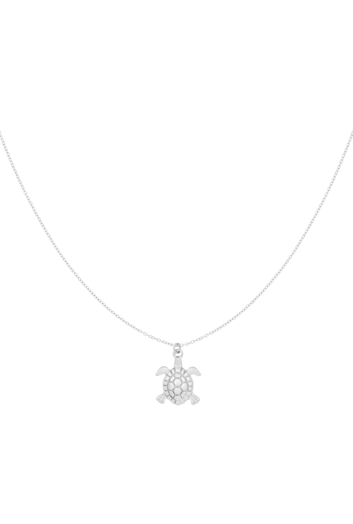 Ketting schildpad zilver