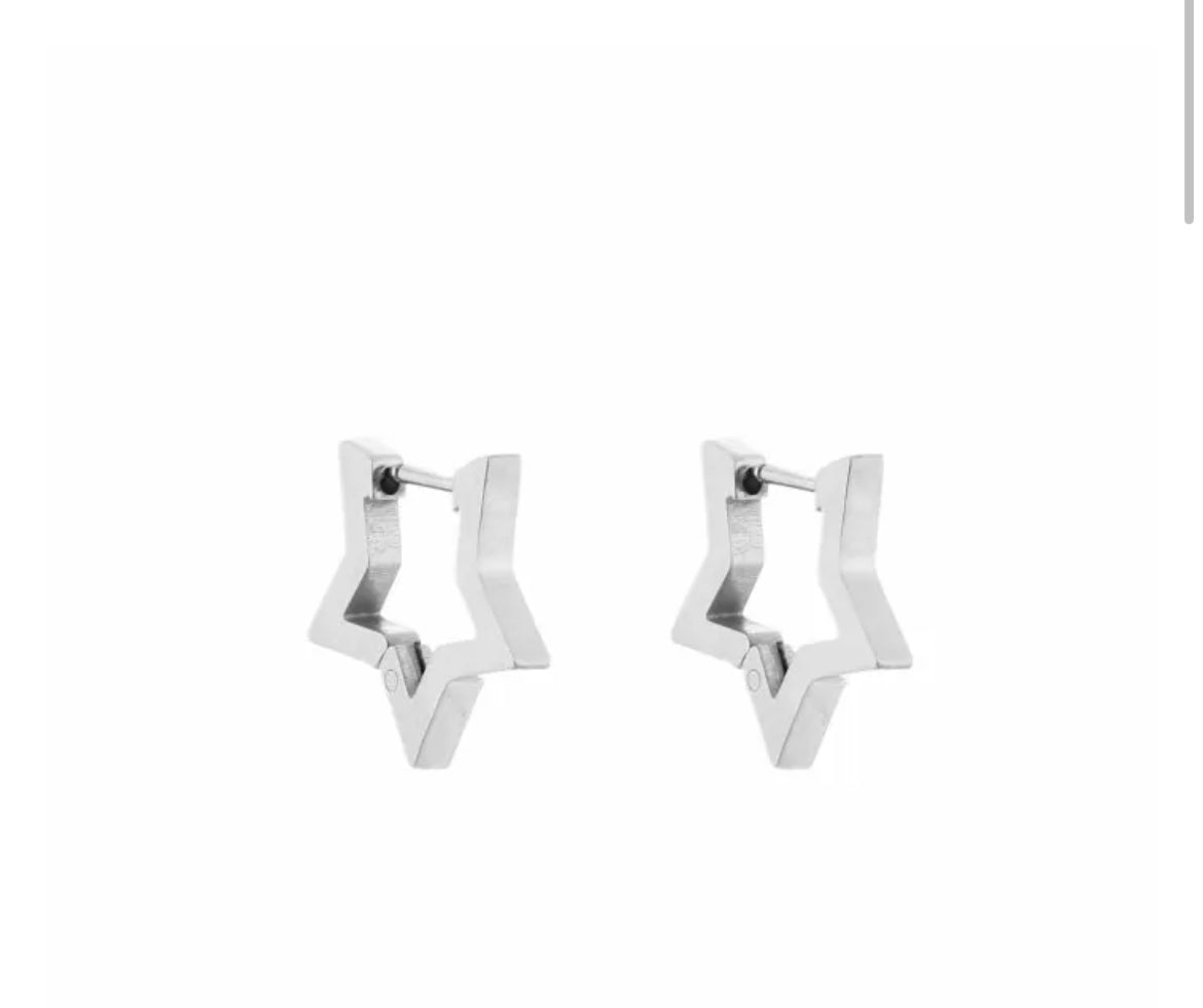 Oorbellen Star zilver