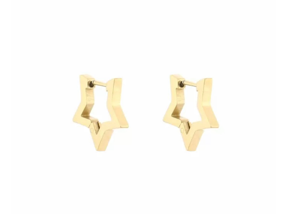 Oorbellen star goud