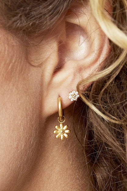 Oorbellen Daisy zilver