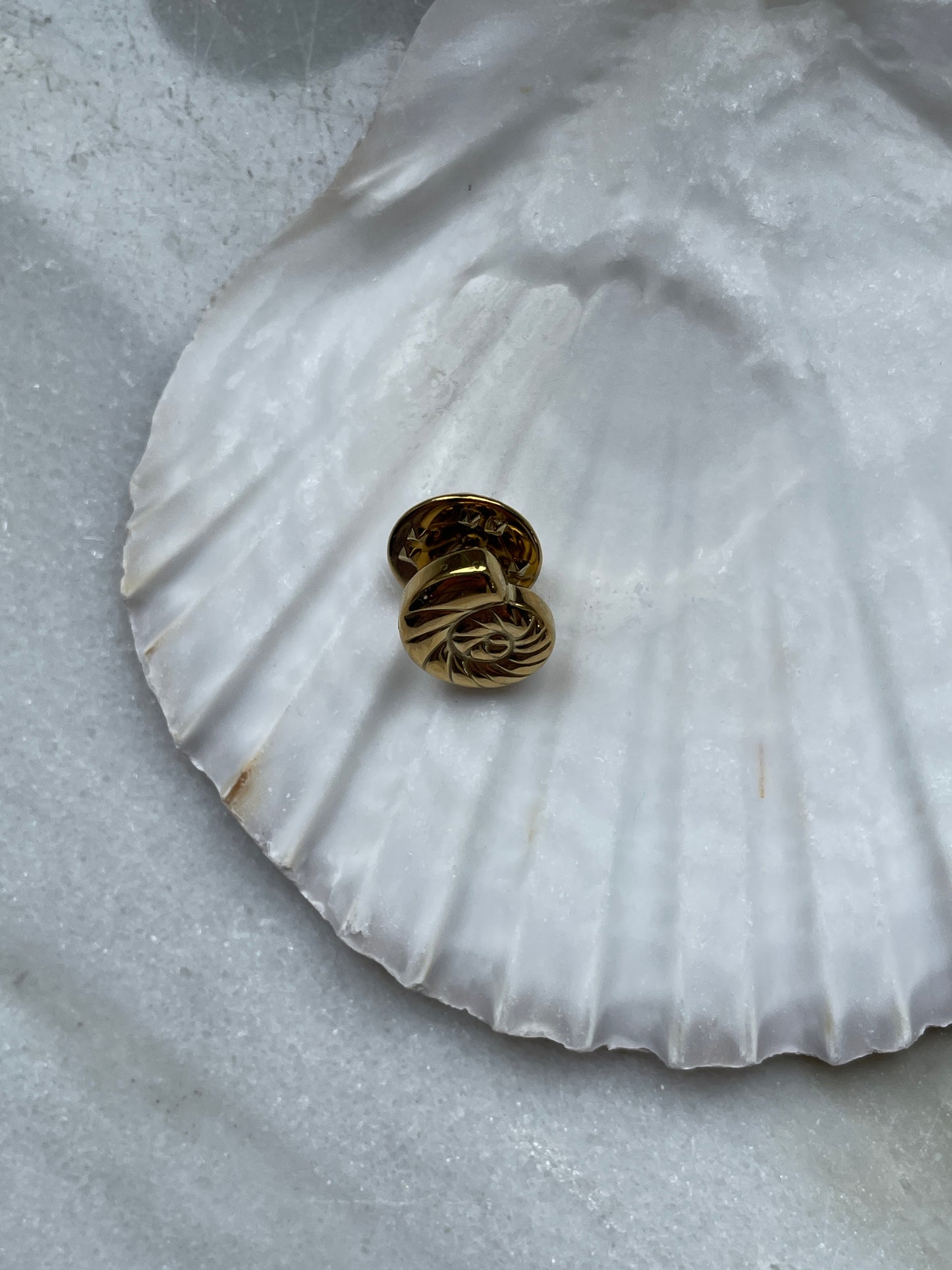 Broche rond schelpje goud
