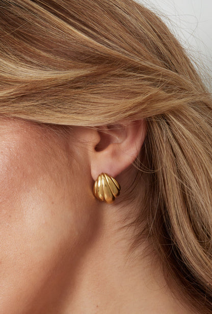 Oorbellen met platte schelp goud