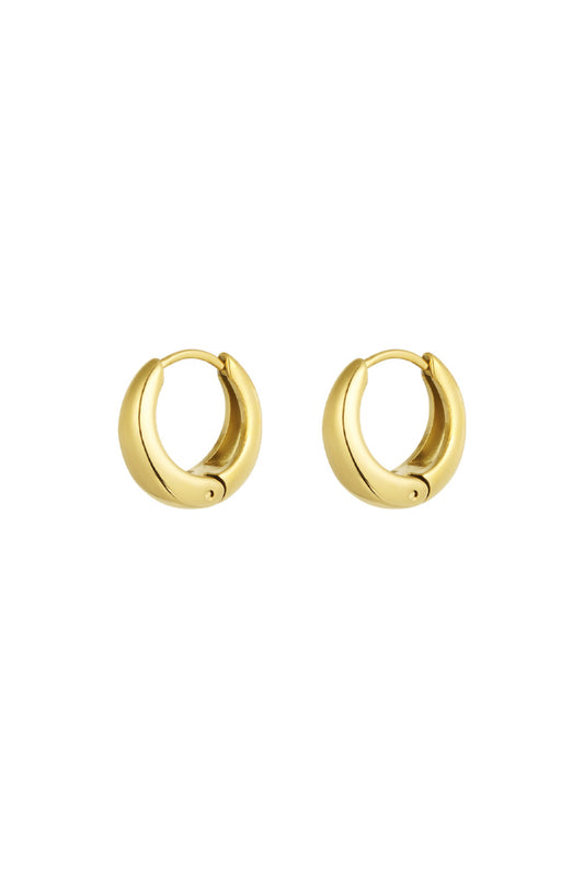 Oorbellen basic hoops rond goud