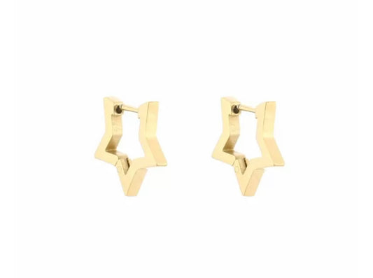 Oorbellen star goud